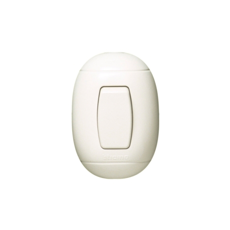 Interruptor unipolar 10A 250V para adosar Oval