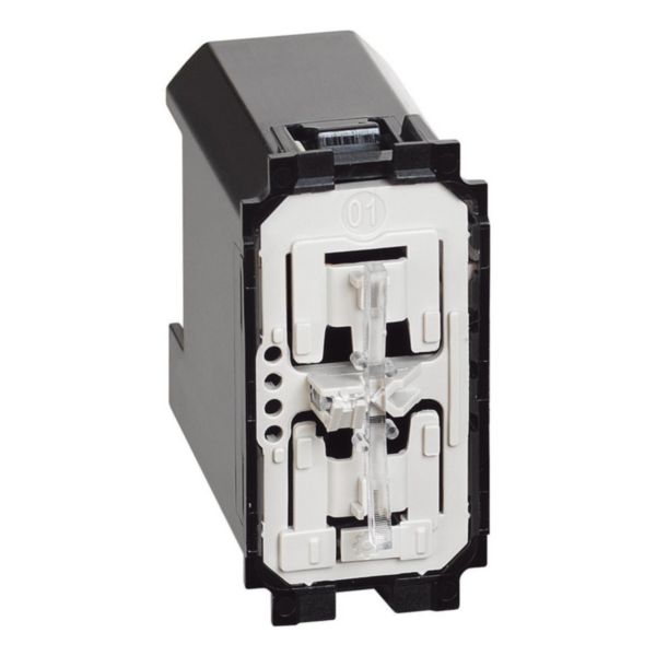 Conmutador 250V conectado 110/240V 2 vías 1 módulo Living Now
