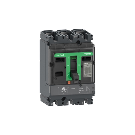 Interruptor termomagnético regulable 3x110-200A 36kA 220/440V NSX160F
